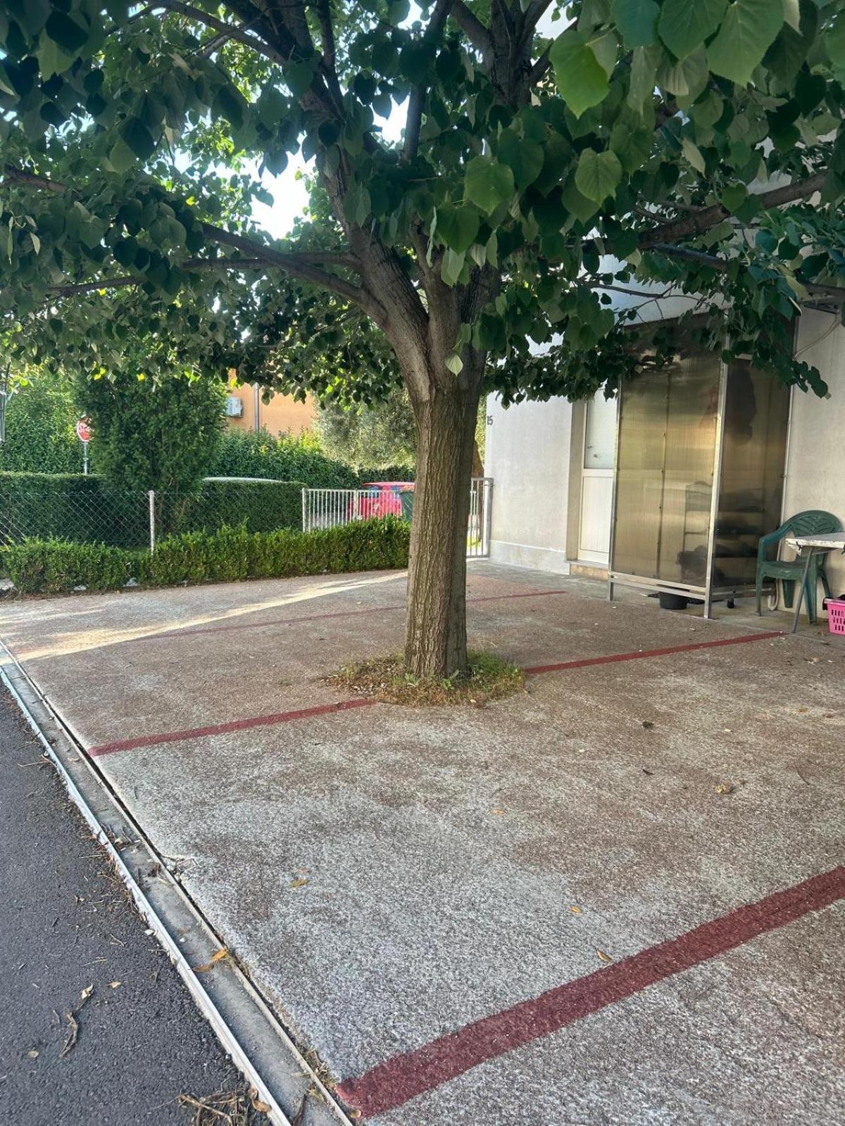 Lipa Apartman Zadar Eksteriør bilde